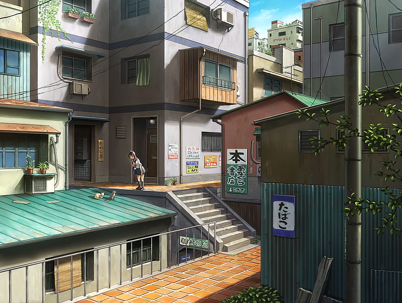 anime streets, buildings, cats, warm, stairs, Anime, HD wallpaper