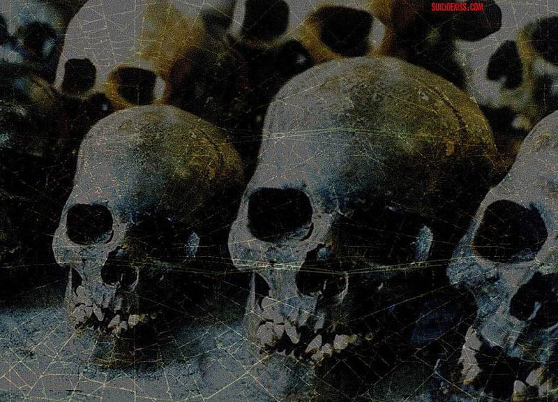 Webbed Skulls, Wicked, Webs, Art, Skulls, Hop, HD Wallpaper