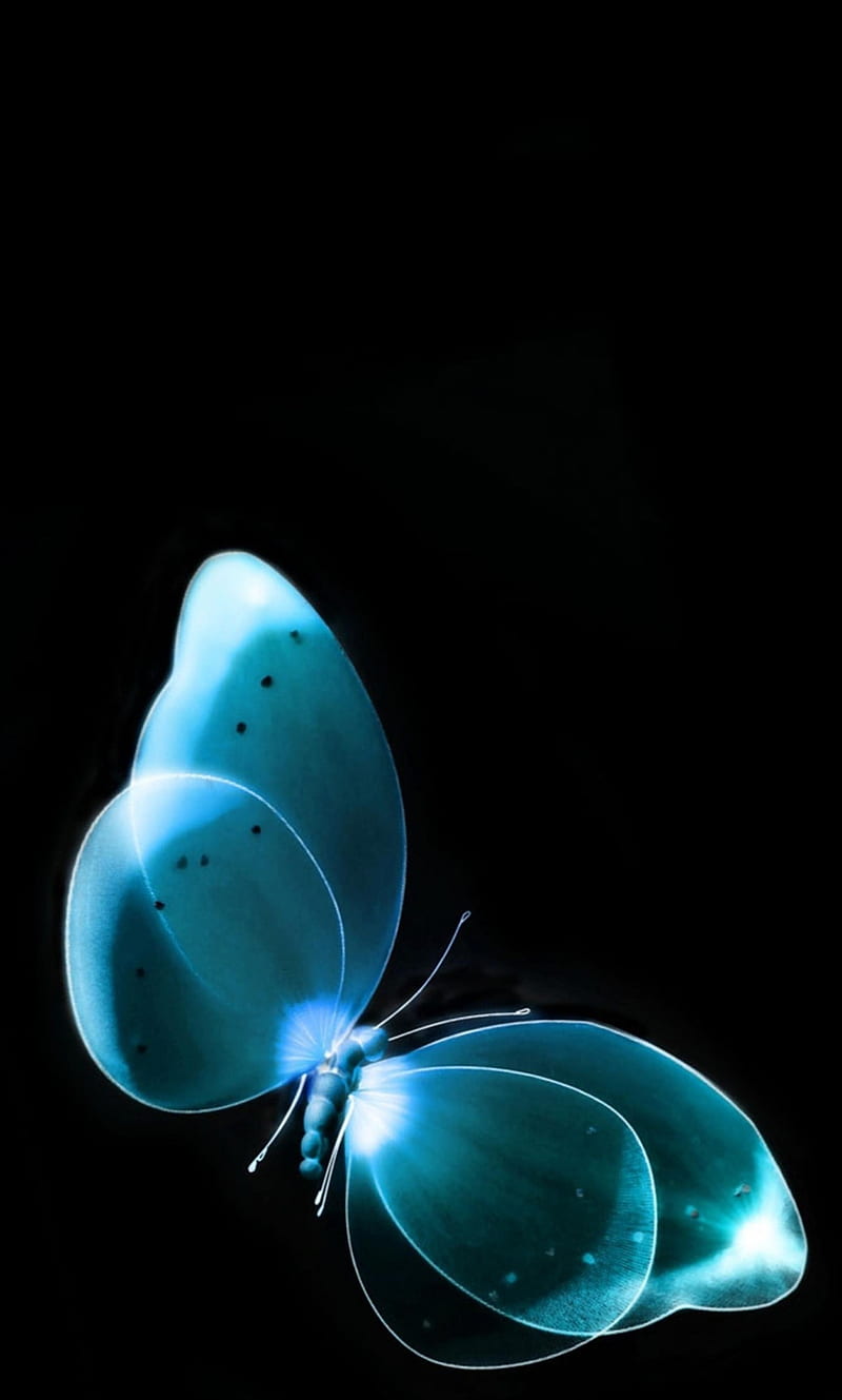 Butterfly, abstract, black, blue, HD phone wallpaper | Peakpx