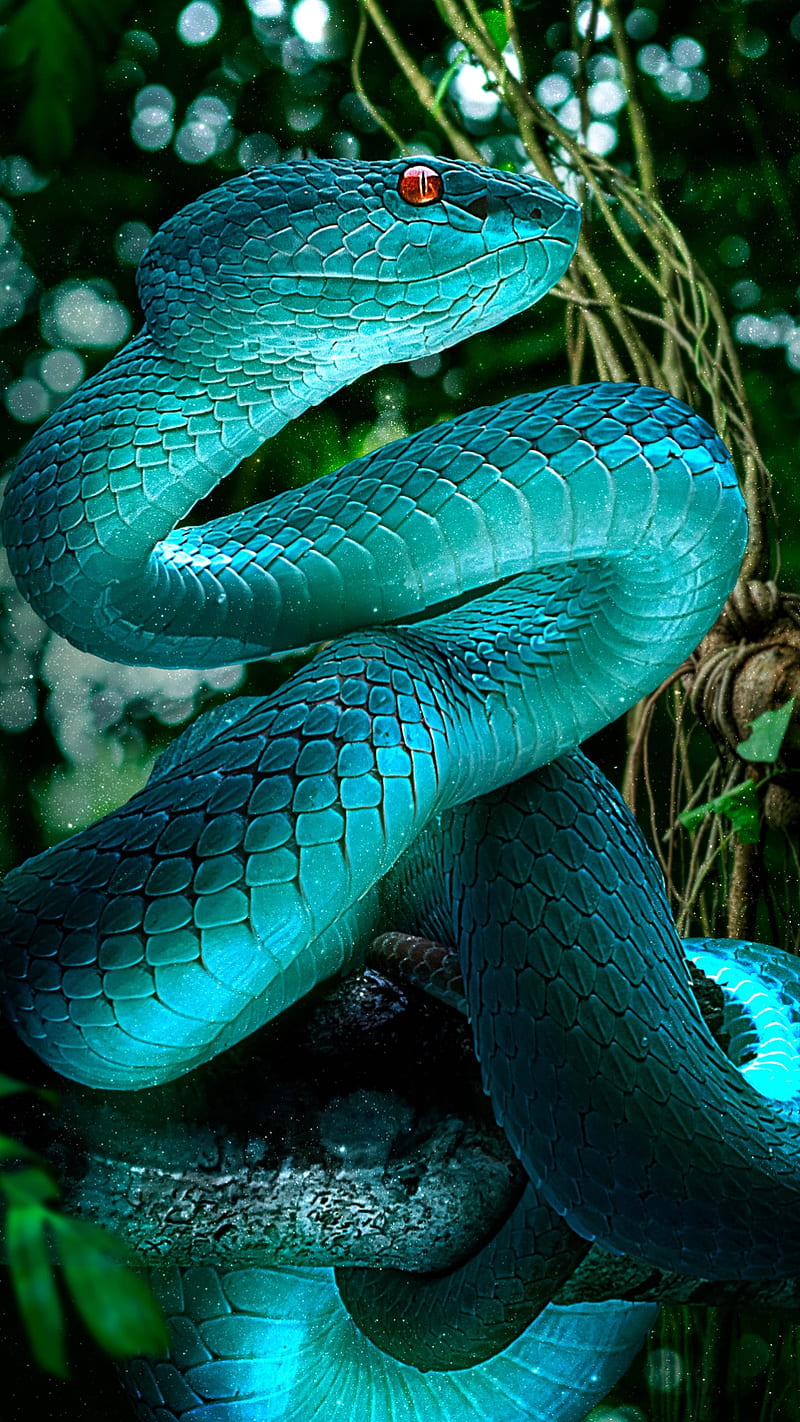 Blue snake, 3d, animal, drawings, poison, HD phone wallpaper