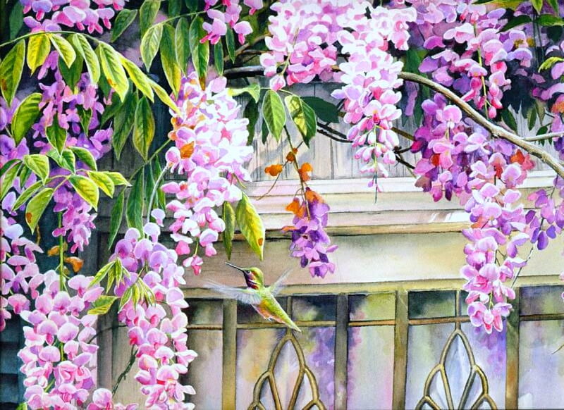 hummingbird blossoms, tree, window, hummingbird, panes, wisteria, HD wallpaper
