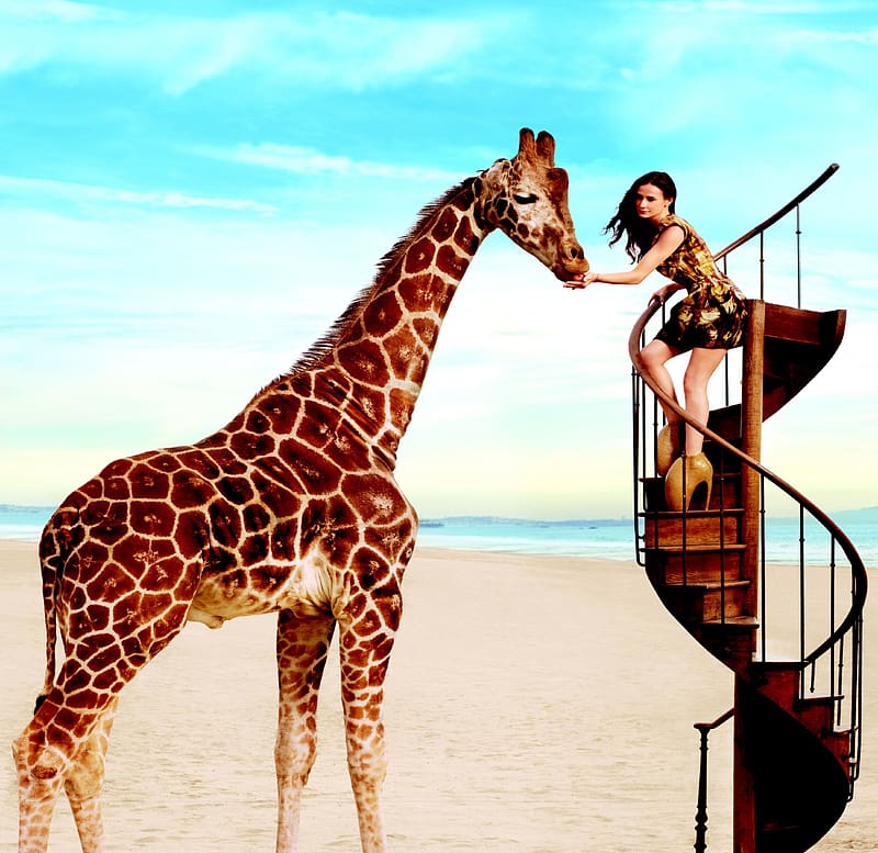 Demi Moore, beach, model, shoes, vogue, giraffe, girl, actress, woman, stilettos, summer, fashion, stairs, funny, vara, HD wallpaper