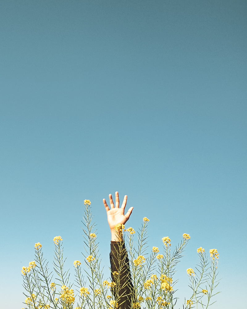 Woman in Black and Brown Long Sleeve Shirt Raising Her Hands, HD phone wallpaper