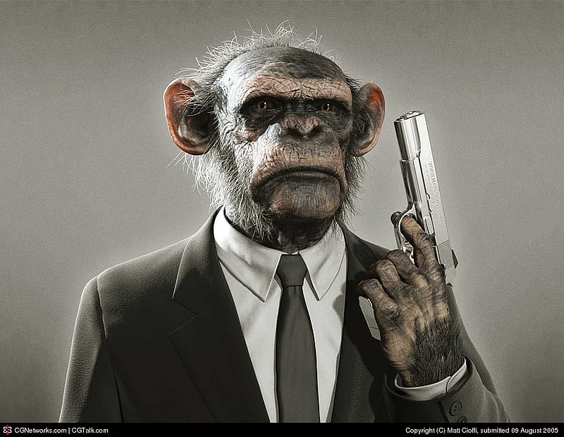 Monkey with gun, monkey, 1, gun, aap, fun, net pak, HD wallpaper