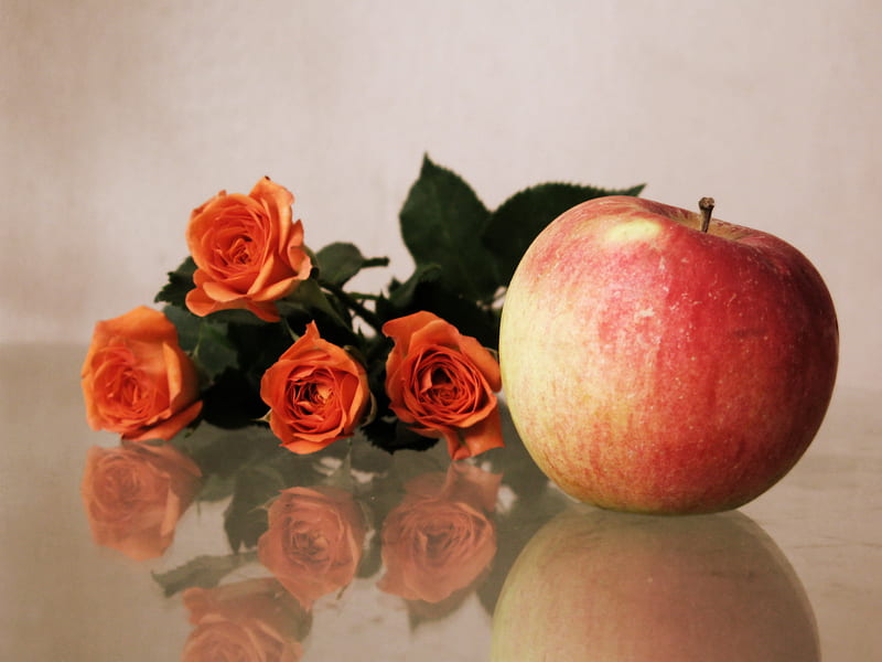 Apple and roses, apple, fruit, rose, love, flower, petal, HD wallpaper