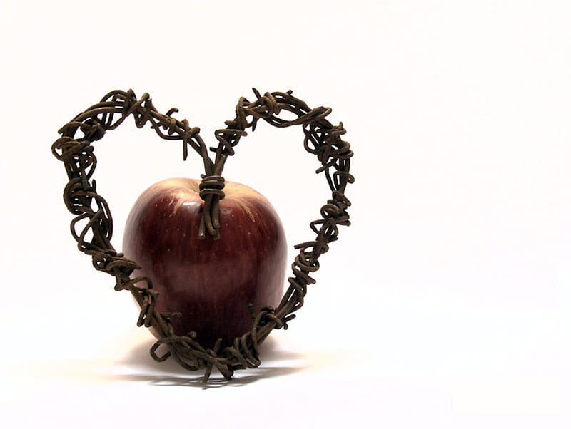 fruit of temptation, apple, fruit, art, heart, HD wallpaper