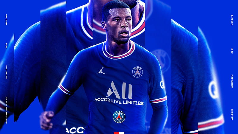 Georginio Wijnaldum Dutch Soccer Paris Psg Football Gini Hd Wallpaper Peakpx