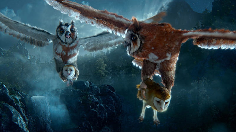 Legend of the Guardians-The Owls of GaHoole movie 04, HD wallpaper