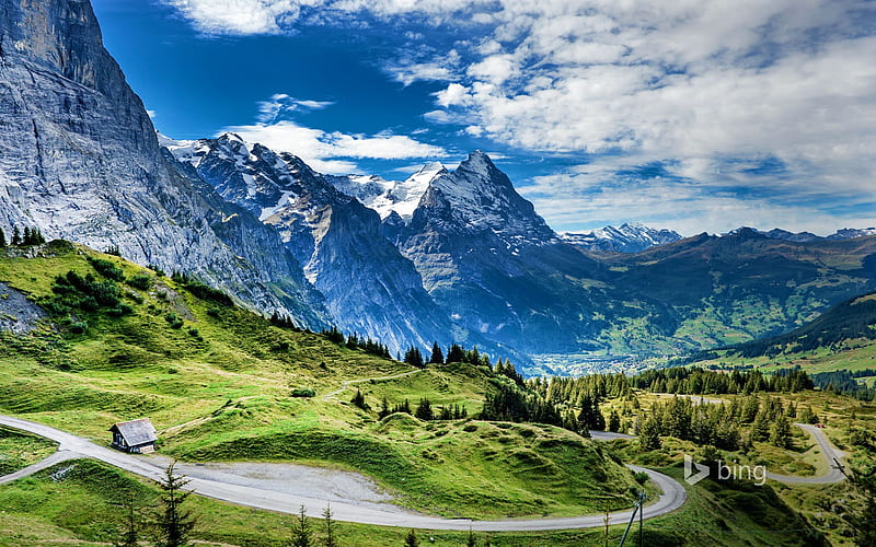 Mountain chalet in the hills-2015 Bing theme, HD wallpaper