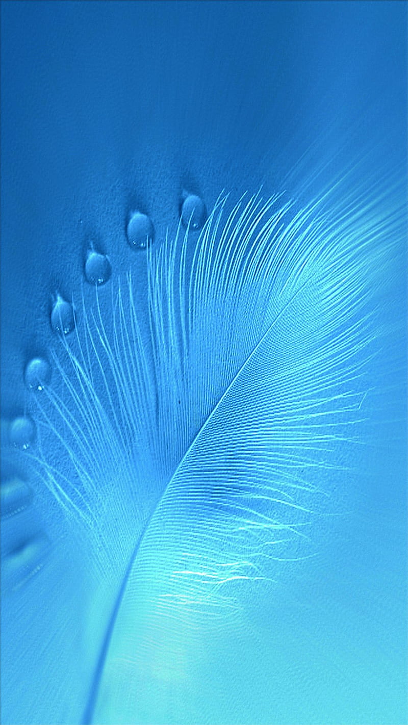 Drops, blue, leaf, HD phone wallpaper | Peakpx