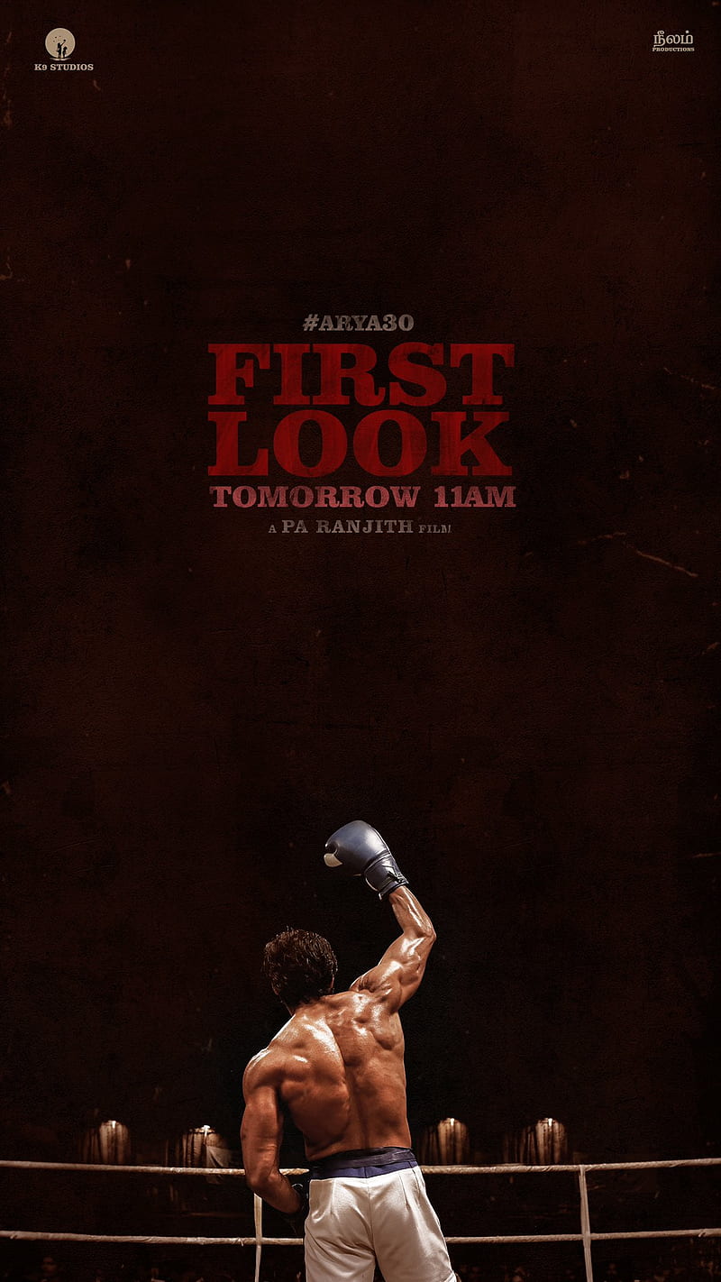 Arya - Be ready to get knocked!, Rocky Balboa, HD phone wallpaper