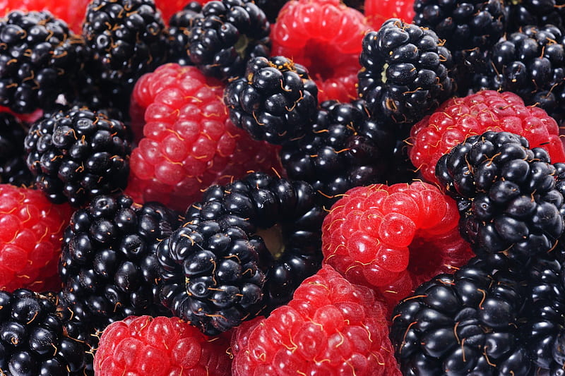 Food, Berry, Blackberry, Fruit, Raspberry, HD wallpaper