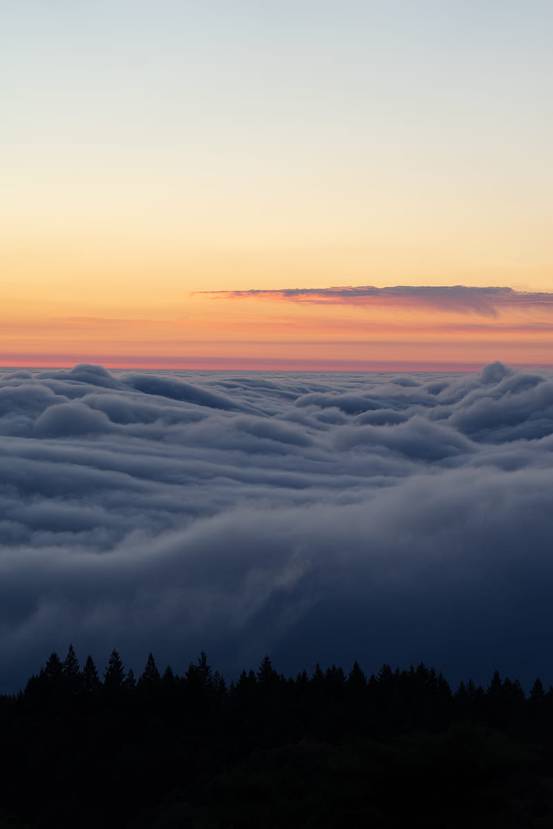 trees, clouds, horizon, sky, HD phone wallpaper