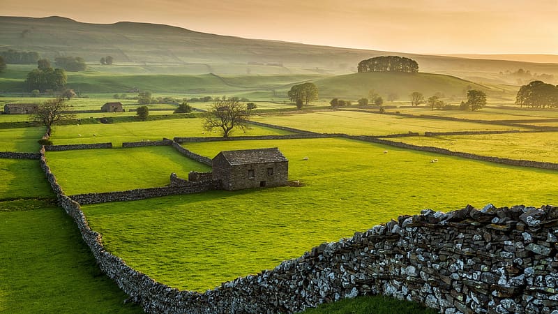 Farms, landscape, Yorkshire Dales national park, nature, HD wallpaper