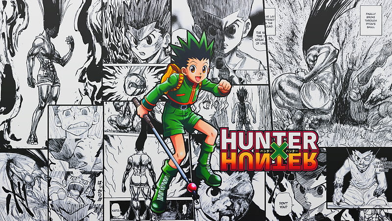 Hunter x Hunter All Characters Anime, HD wallpaper