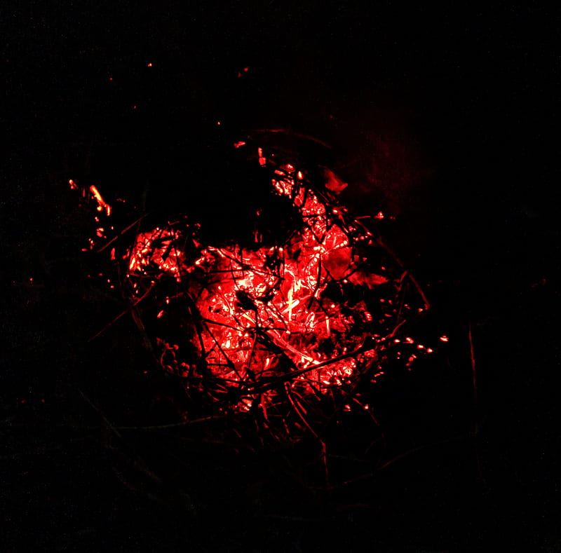 The Fire, ashes, black, camp fire, coal, flame, night, red, wood fire, yellow, HD wallpaper