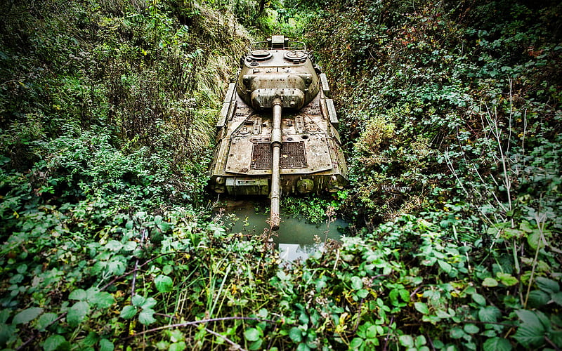 abandoned tank, jungle, thickets, armored vehicles, tanks, military equipment, HD wallpaper