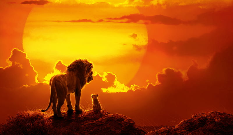 The Lion King Movie , the-lion-king, lion, 2019-movies, movies, disney, simba, HD wallpaper