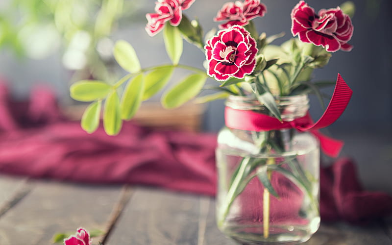 purple carnations, glass jar with flowers, carnations in a jar, carnations, beautiful flowers, HD wallpaper