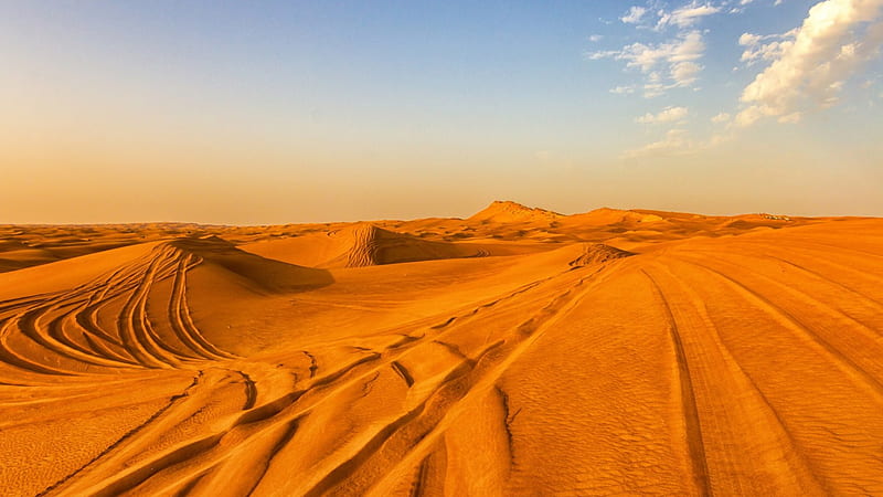 Desert, sand, Tracks, orange, HD wallpaper