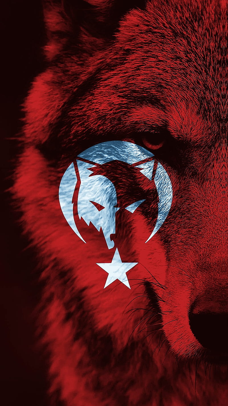 Bozkurt, Milli, wolf, Kurtlar, black, turk, Bozkurtlar, kurt logo, turkish flag, wolf logo, wolves, turkish, Türkiye, kurt, HD phone wallpaper