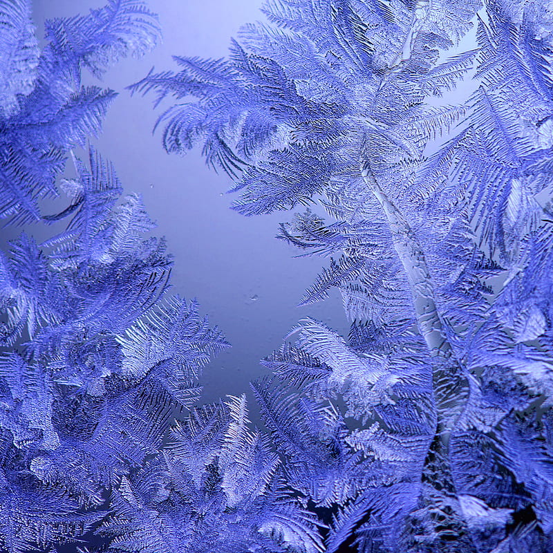 Frosty Pattern, abstract, blue, fros, ice, window, HD phone wallpaper