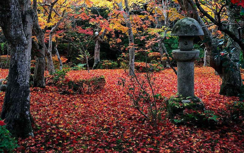 Another angle of the courtyard-Enkoji Temple Autumn, HD wallpaper