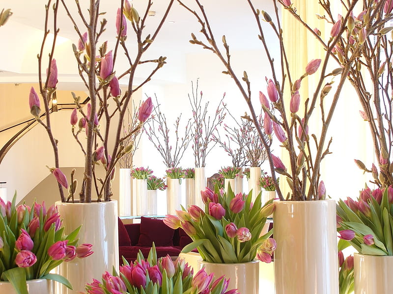 Spring, hotel, still life, magnolia branches, decoration, tulips, pink, reception, HD wallpaper