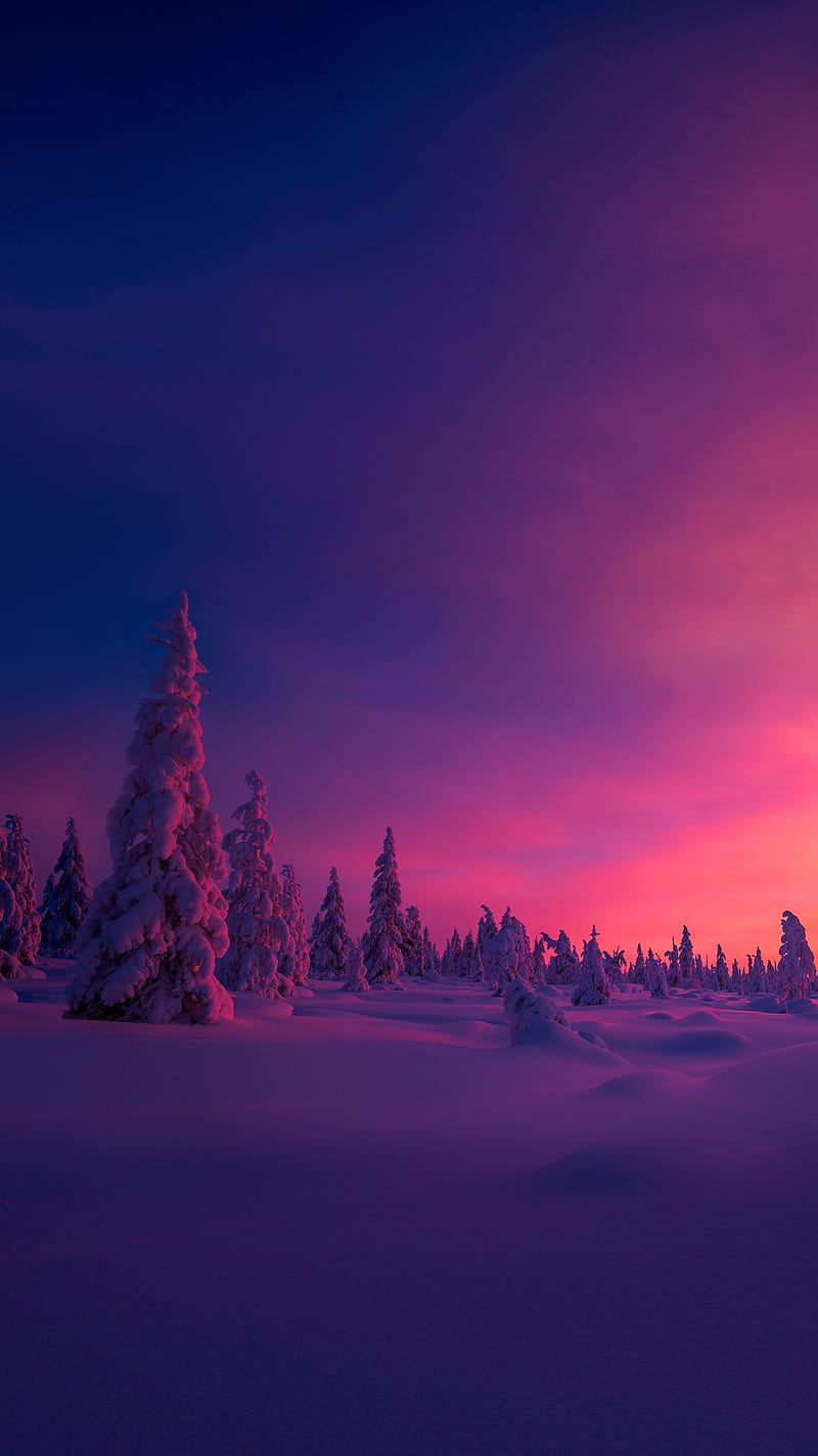 Winter Sunset, snow, HD phone wallpaper | Peakpx