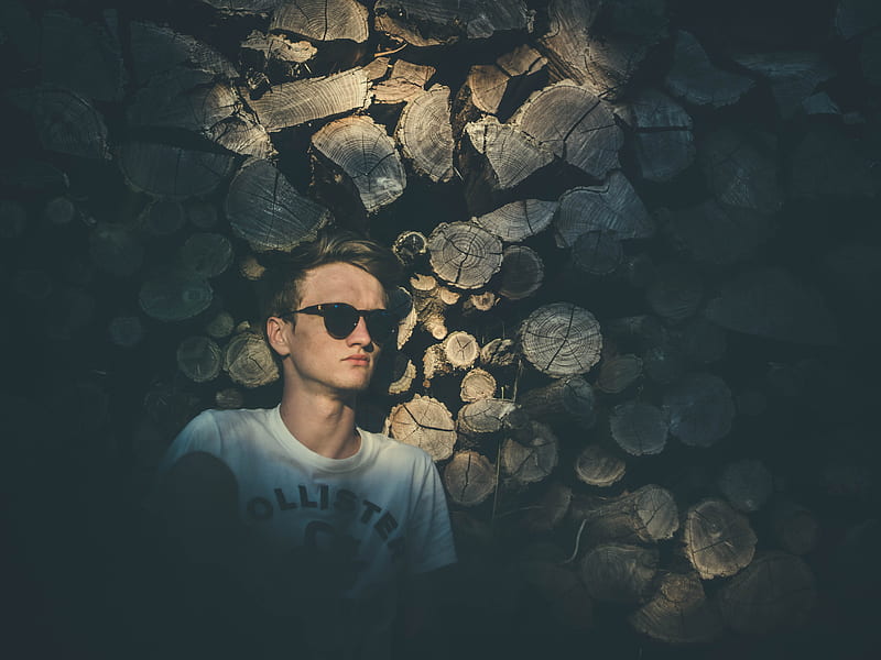 man wearing sunglasses leaning on chopped trees, HD wallpaper