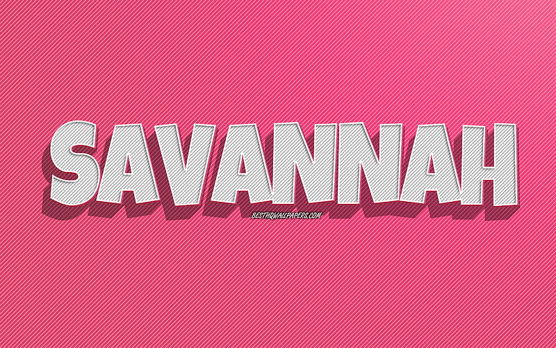 Savannah, pink lines background, with names, Savannah name, female names, Savannah greeting card, line art, with Savannah name, HD wallpaper