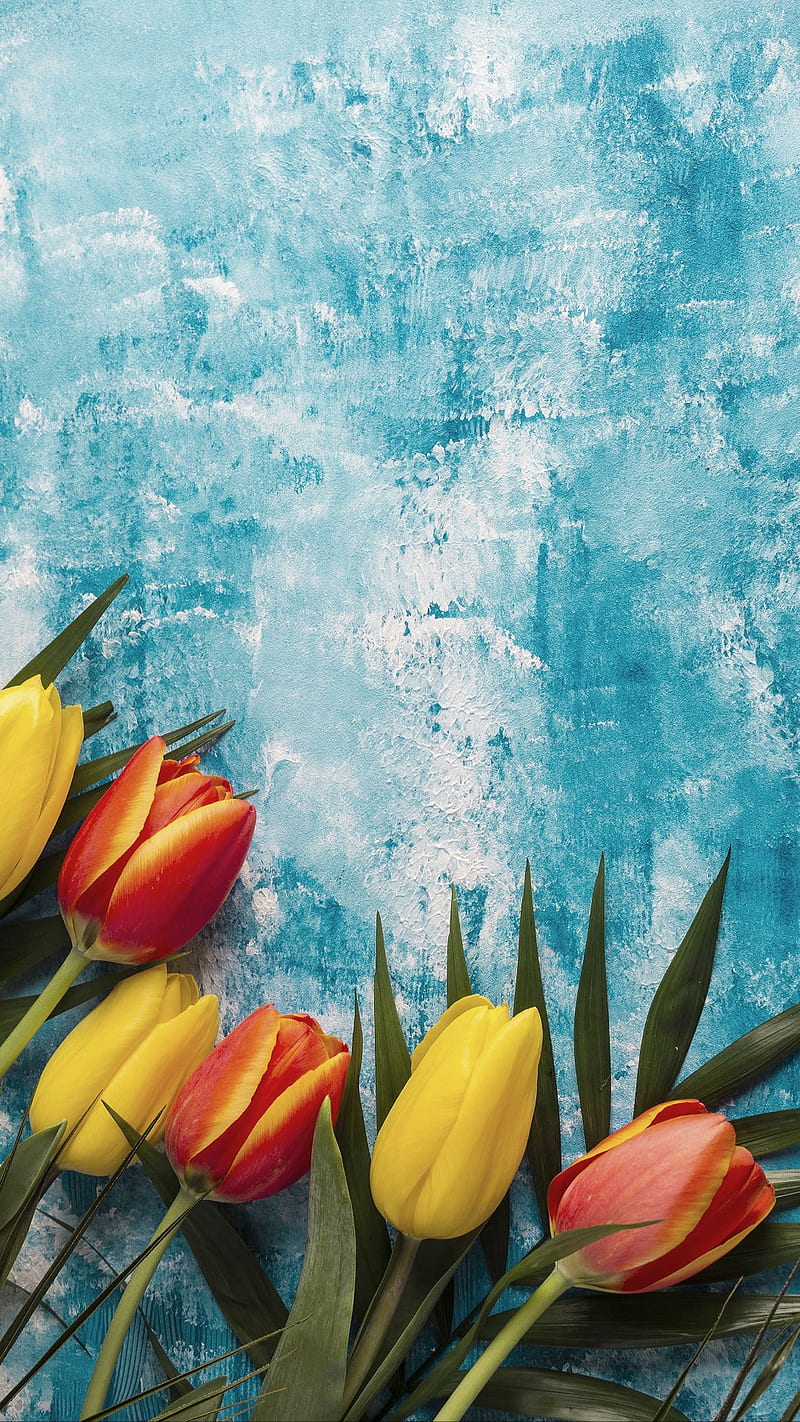 2lips, blue, flower, flowers orange, tulip, tulips, yellow, HD phone wallpaper