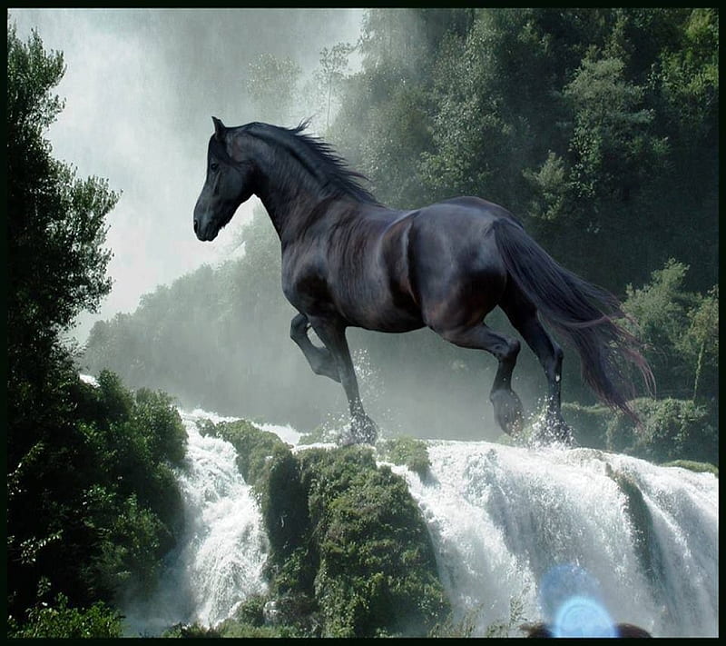 Dark Horse, dark, horse, HD wallpaper