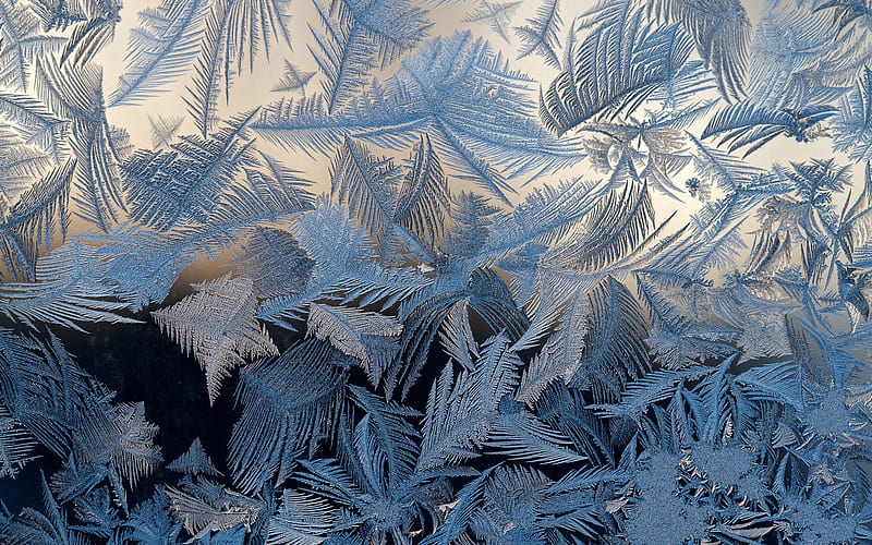 blue ice pattern, macro, frosty patterns on glass, blue ice background, frosty patterns, ice textures, frozen water textures, arctic texture, HD wallpaper