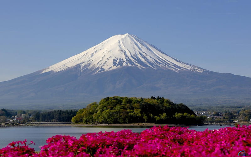 Snowy Peak of Mount Fuji, trees, volcano, mountain, japan, snow