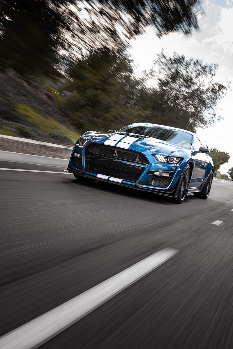 shelby gt500, shelby, car, sports car, blue, road, speed, HD phone wallpaper