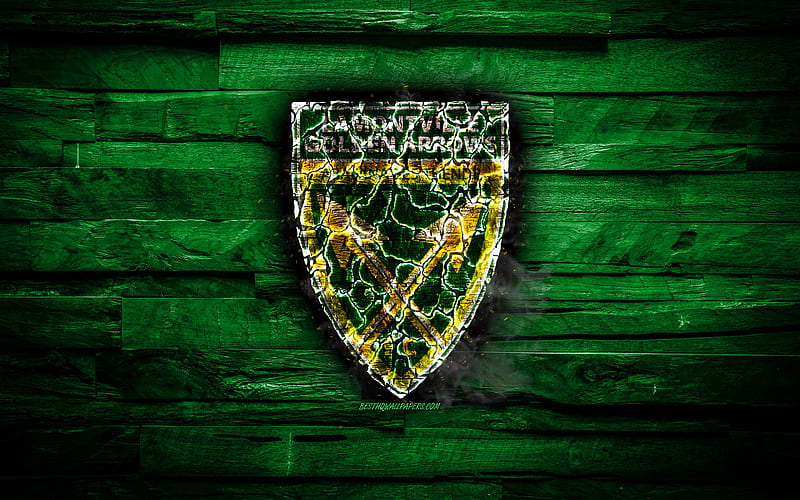Lamontville Golden Arrows FC, burning logo, Premier Soccer League, green wooden background, south african football club, PSL, football, soccer, Lamontville Golden Arrows logo, Durban, South Africa, HD wallpaper