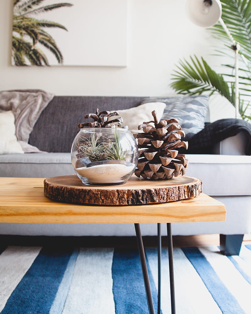 clear fishbowl beside pine cones on brown wooden table, HD phone wallpaper