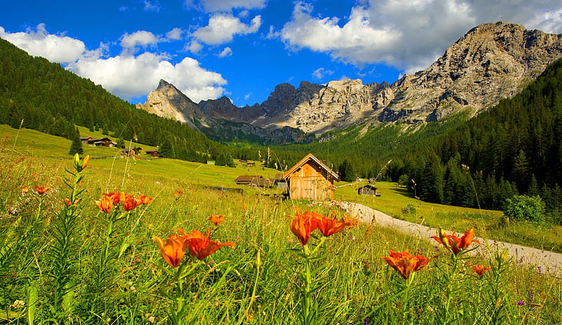 Mountain cabin, pretty, hut, house, grass, cottage, cabin, bonito, villa, countryside, mountain, nice, green, village, peaks, flowers, lovely, delight, spring, sky, slope, summer, nature, HD wallpaper