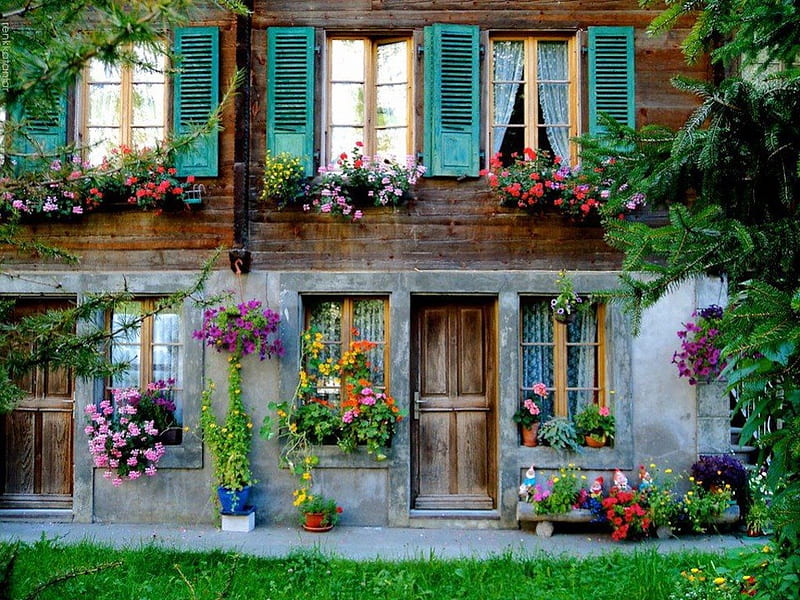 Wonderful Old Home Brightened by Flowers, pretty, decorate, shutters, cheery, green, home, flowers, HD wallpaper