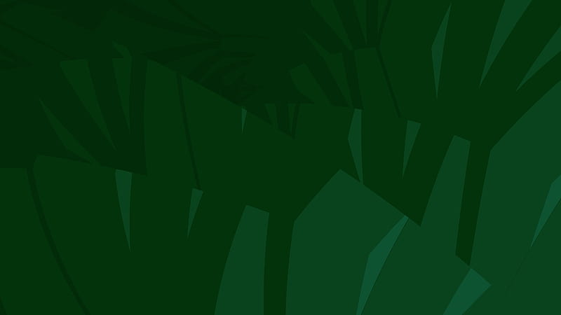 Abstract, Green, Leaf, Palm Tree, HD wallpaper