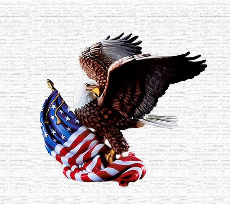 American Eagle, atr, mnr, HD wallpaper