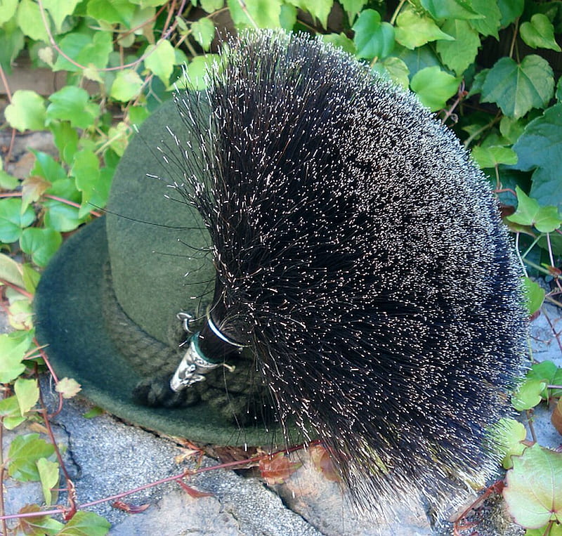 felt hat garnished with feathers 