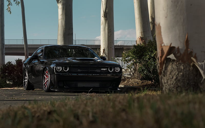 dodge challenger, tuning, srt, sports cars, black coupe, HD wallpaper