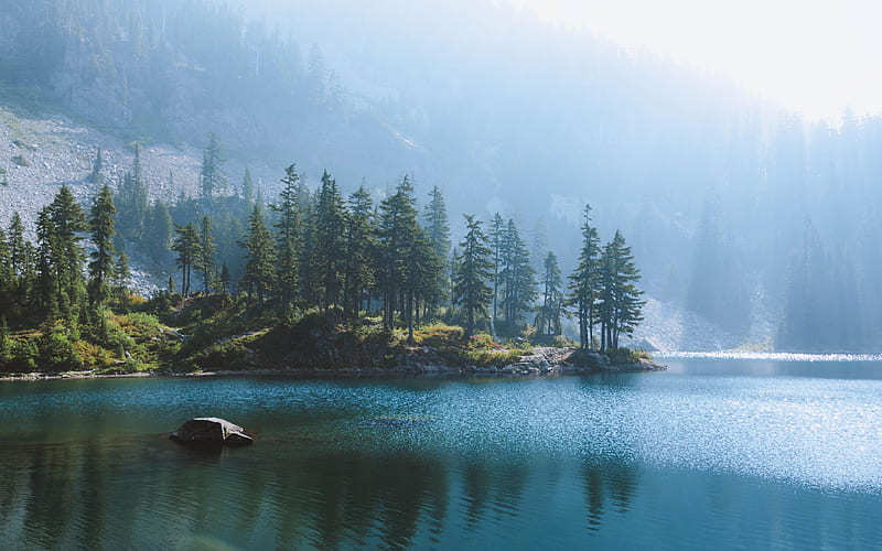 A quiet morning at an alpine lake in Washington, water, trees, reflections, usa, mist, HD wallpaper