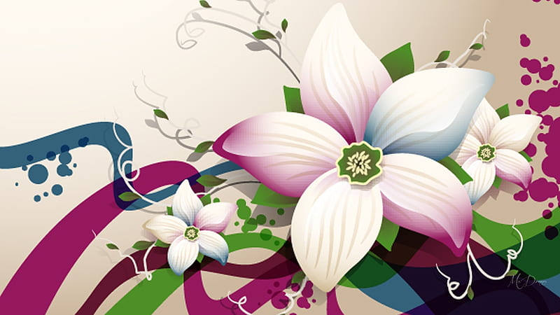Vector Floral, flowers, vines, swirls, vector, floral, flora, HD wallpaper