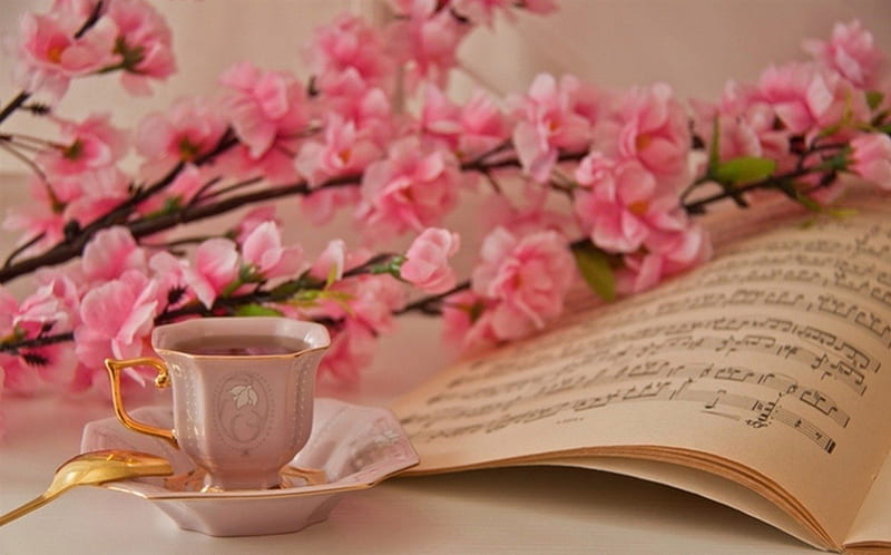 Spring song, saucer, bloom, tea, still life, graphy, flowers, relaxation, pink, art, branchlet, spring, abstract, teatime, freshness, song, cup, pleasure, nature, musical scores, HD wallpaper