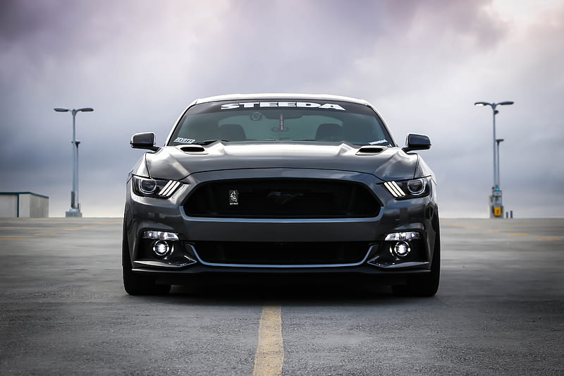 black Shelby car on road, HD wallpaper