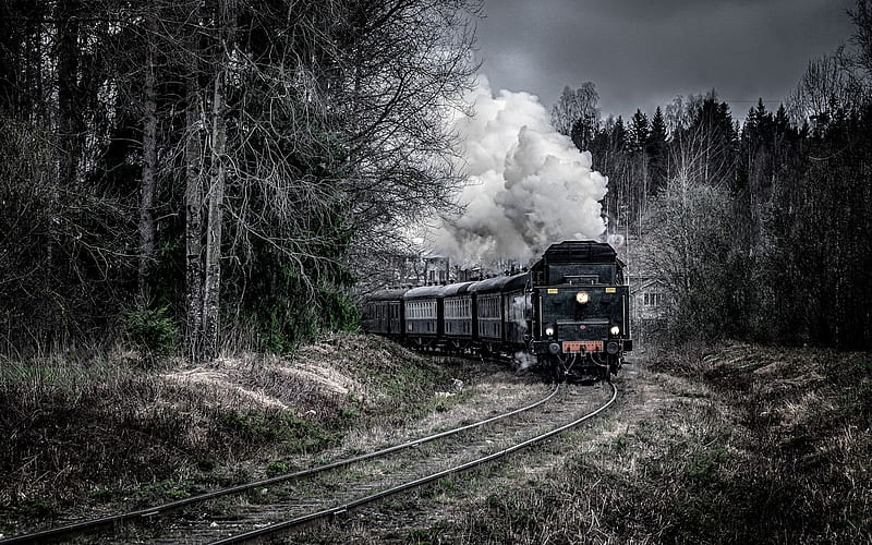 railroad, forest, locomotive, train, HD wallpaper