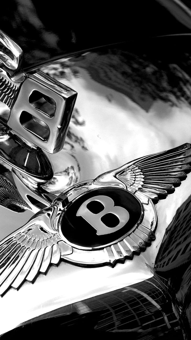 Silver Bentley, car, logo, HD phone wallpaper | Peakpx